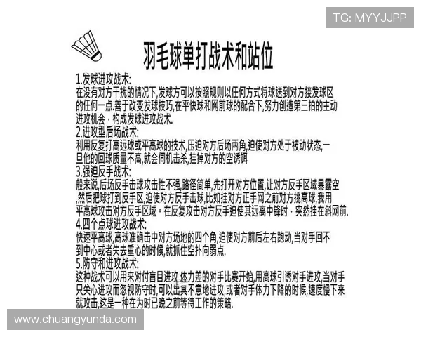 成都羽毛球队进攻战术深度分析与实战应用探讨