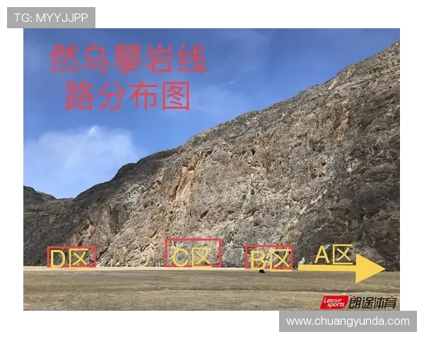深圳攀岩队与上海攀岩队赛后战术分析与总结探讨