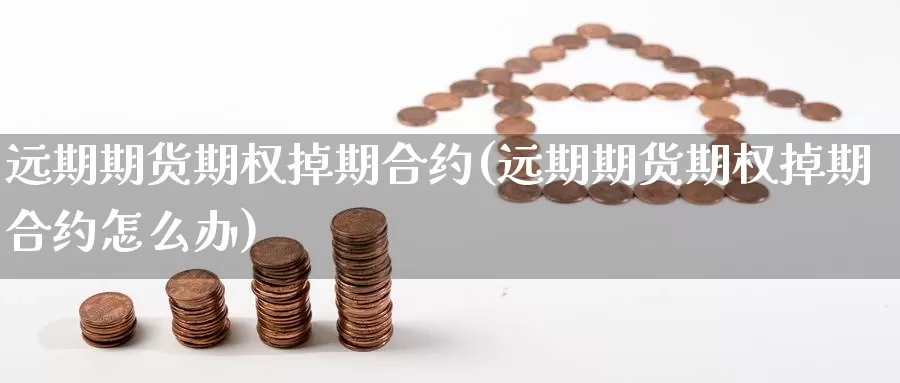 远期期货期权掉期合约(远期期货期权掉期合约怎么办)_https://www.chuangyunda.com_黄金期货_第1张