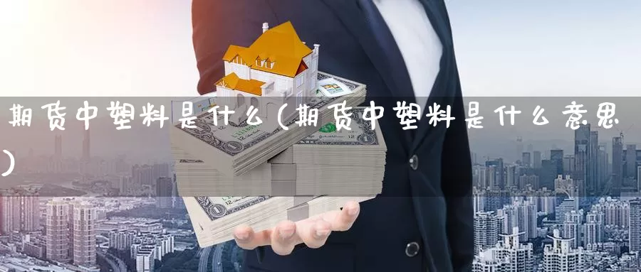 期货中塑料是什么(期货中塑料是什么意思)_https://www.chuangyunda.com_期货分类_第1张