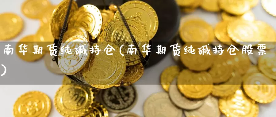 南华期货纯碱持仓(南华期货纯碱持仓股票)_https://www.chuangyunda.com_期货技术_第1张