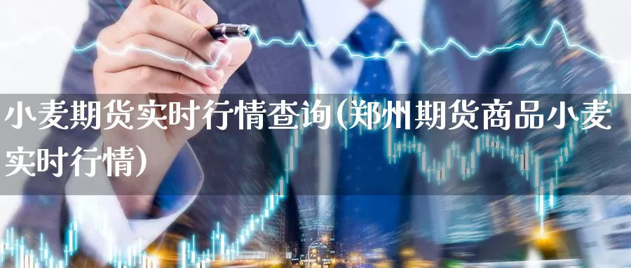 小麦期货实时行情查询(郑州期货商品小麦实时行情)_https://www.chuangyunda.com_期货技术_第1张