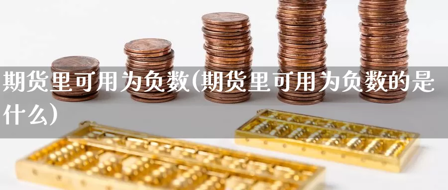 期货里可用为负数(期货里可用为负数的是什么)_https://www.chuangyunda.com_期货入门_第1张