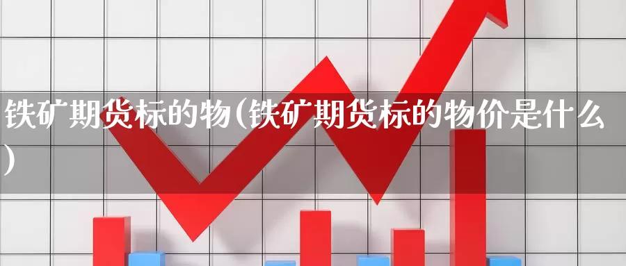 铁矿期货标的物(铁矿期货标的物价是什么)_https://www.chuangyunda.com_纳指期货_第1张