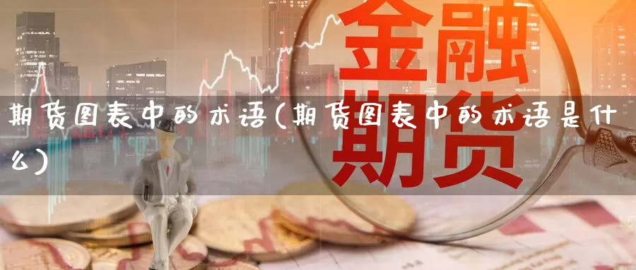 期货图表中的术语(期货图表中的术语是什么)_https://www.chuangyunda.com_黄金期货_第1张