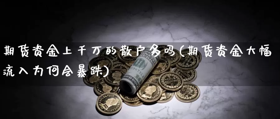 期货资金上千万的散户多吗(期货资金大幅流入为何会暴跌)_https://www.chuangyunda.com_原油期货_第1张