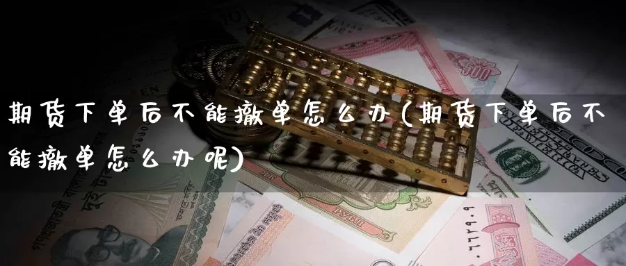 期货下单后不能撤单怎么办(期货下单后不能撤单怎么办呢)_https://www.chuangyunda.com_原油期货_第1张