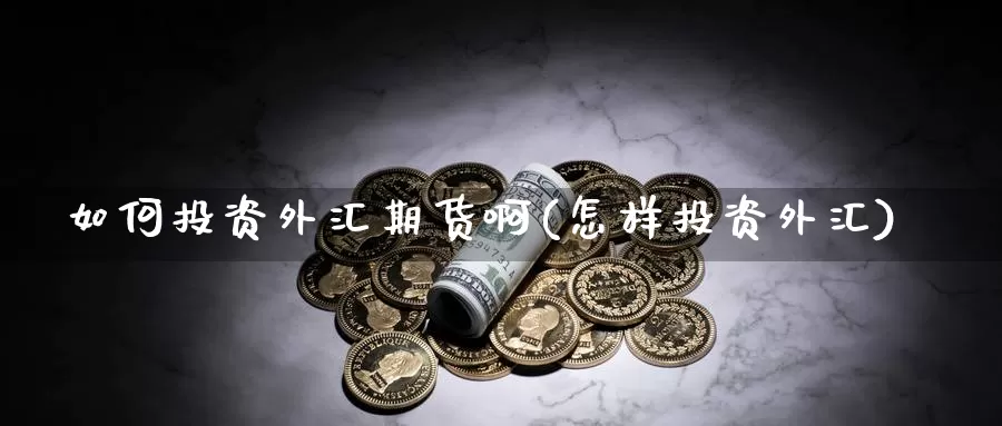 如何投资外汇期货啊(怎样投资外汇)_https://www.chuangyunda.com_纳指期货_第1张