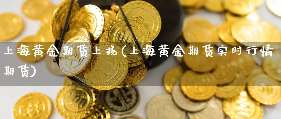 上海黄金期货上扬(上海黄金期货实时行情期货)_https://www.chuangyunda.com_期货技术_第1张