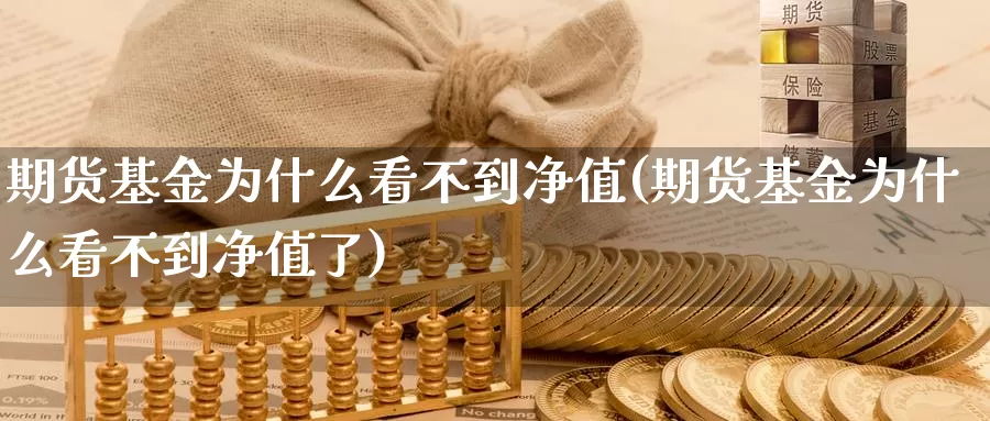 期货基金为什么看不到净值(期货基金为什么看不到净值了)_https://www.chuangyunda.com_期货理财_第1张