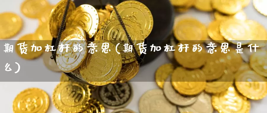 期货加杠杆的意思(期货加杠杆的意思是什么)_https://www.chuangyunda.com_期货入门_第1张