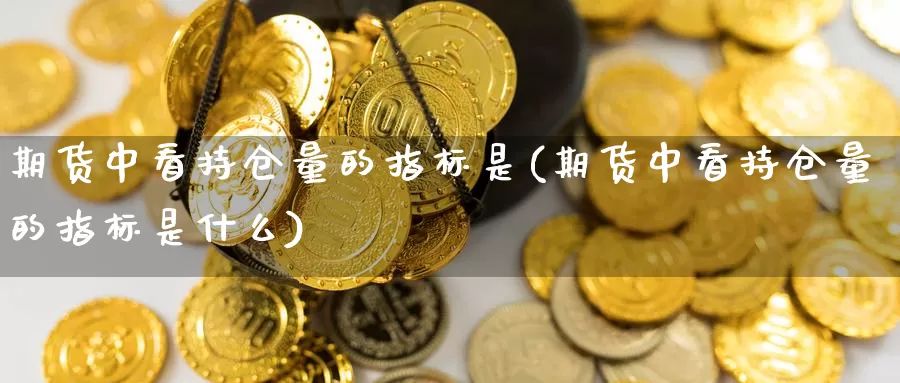 期货中看持仓量的指标是(期货中看持仓量的指标是什么)_https://www.chuangyunda.com_纳指期货_第1张