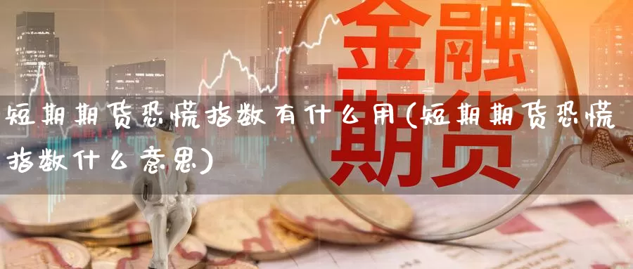 短期期货恐慌指数有什么用(短期期货恐慌指数什么意思)_https://www.chuangyunda.com_纳指期货_第1张