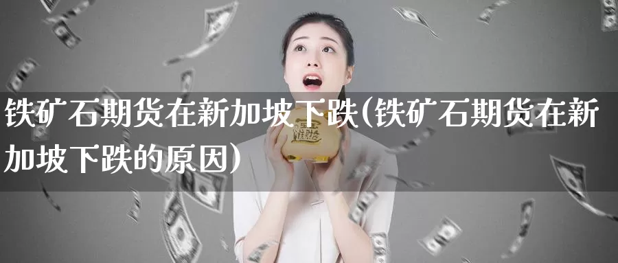 铁矿石期货在新加坡下跌(铁矿石期货在新加坡下跌的原因)_https://www.chuangyunda.com_期货入门_第1张