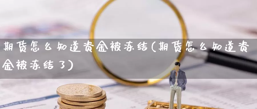 期货怎么知道资金被冻结(期货怎么知道资金被冻结了)_https://www.chuangyunda.com_原油期货_第1张