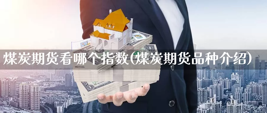 煤炭期货看哪个指数(煤炭期货品种介绍)_https://www.chuangyunda.com_期货理财_第1张