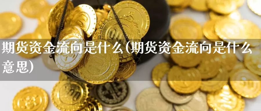 期货资金流向是什么(期货资金流向是什么意思)_https://www.chuangyunda.com_原油期货_第1张