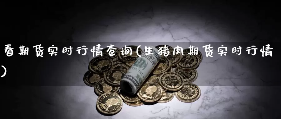 看期货实时行情查询(生猪肉期货实时行情)_https://www.chuangyunda.com_黄金期货_第1张