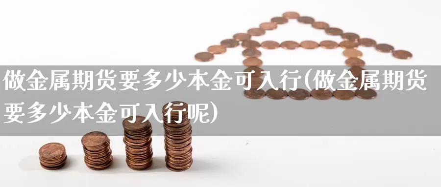 做金属期货要多少本金可入行(做金属期货要多少本金可入行呢)_https://www.chuangyunda.com_期货分类_第1张