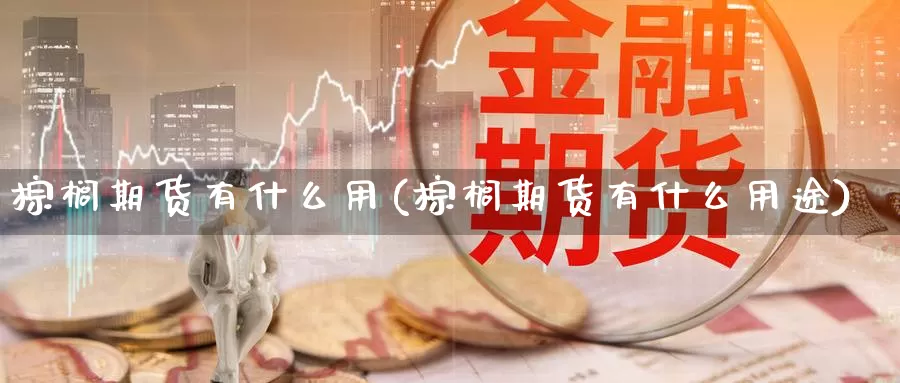 棕榈期货有什么用(棕榈期货有什么用途)_https://www.chuangyunda.com_期货入门_第1张