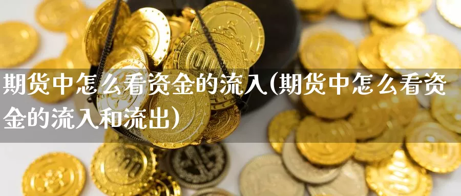 期货中怎么看资金的流入(期货中怎么看资金的流入和流出)_https://www.chuangyunda.com_黄金期货_第1张