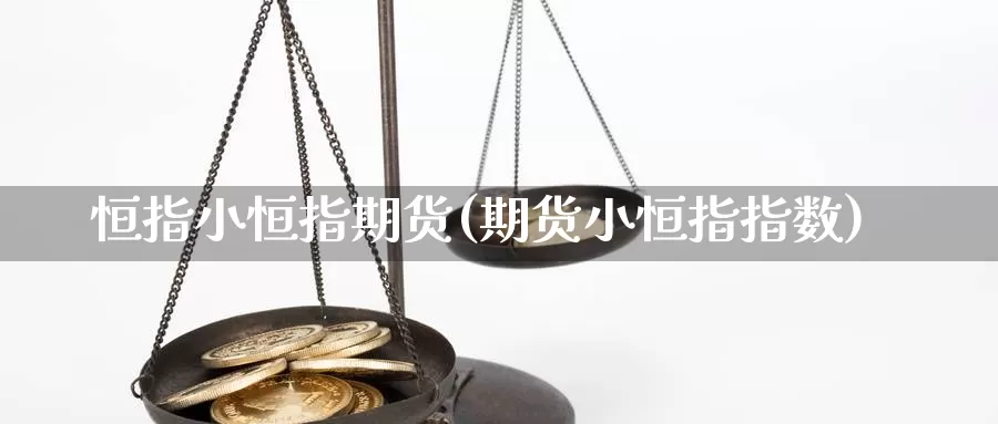 恒指小恒指期货(期货小恒指指数)_https://www.chuangyunda.com_期货理财_第1张