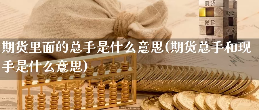 期货里面的总手是什么意思(期货总手和现手是什么意思)_https://www.chuangyunda.com_纳指期货_第1张