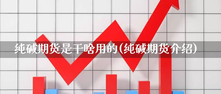 纯碱期货是干啥用的(纯碱期货介绍)_https://www.chuangyunda.com_期货入门_第1张