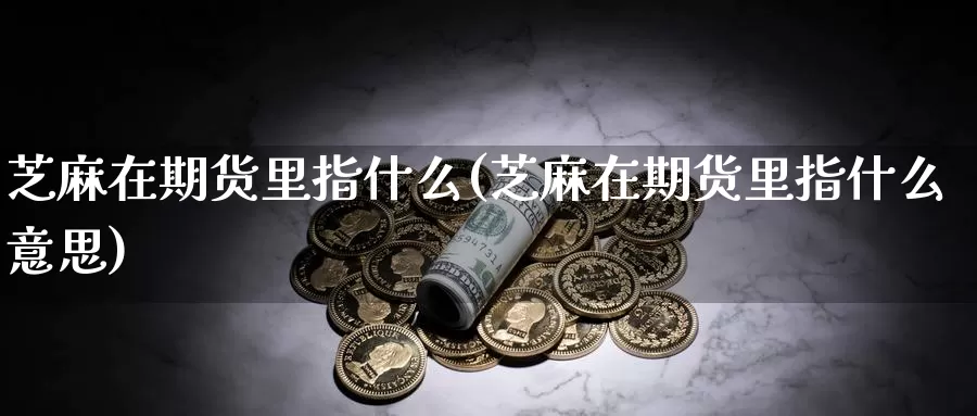 芝麻在期货里指什么(芝麻在期货里指什么意思)_https://www.chuangyunda.com_期货技术_第1张